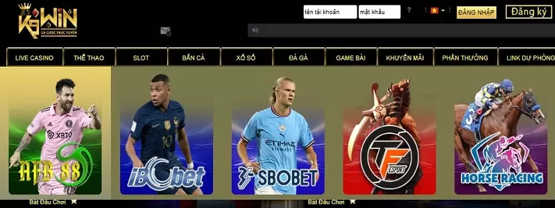Cá cược thể thao K9Win cực hay