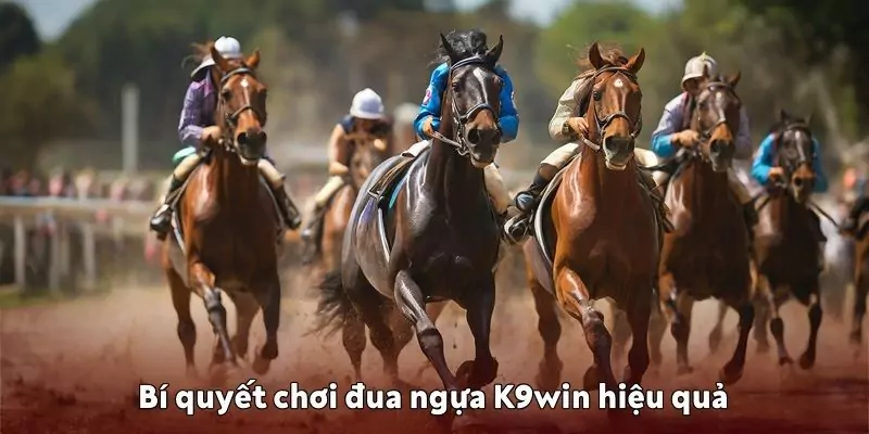Đua ngựa K9win – Trò chơi mới lạ cho người đam mê tốc độ Bí quyết chơi đua ngựa K9win
