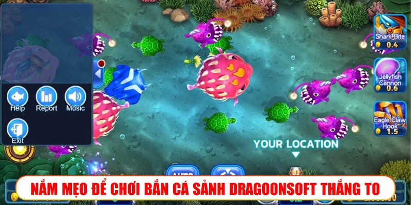 MẸO ĐỂ CHƠI BẮN CÁ SẢNH DRAGOONSOFT